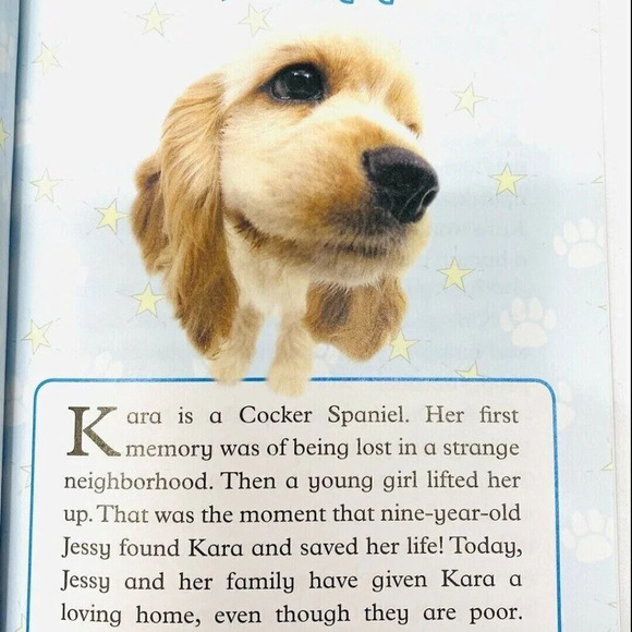 ARTLIST COLLECTION THE DOG: HOLLYWOOD SPANIEL Book By Howie Dewin Paperback - Picture 8 of 9